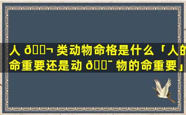 人 🐬 类动物命格是什么「人的命重要还是动 🐯 物的命重要」